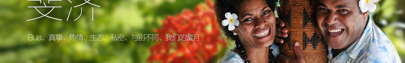 斐济专辑