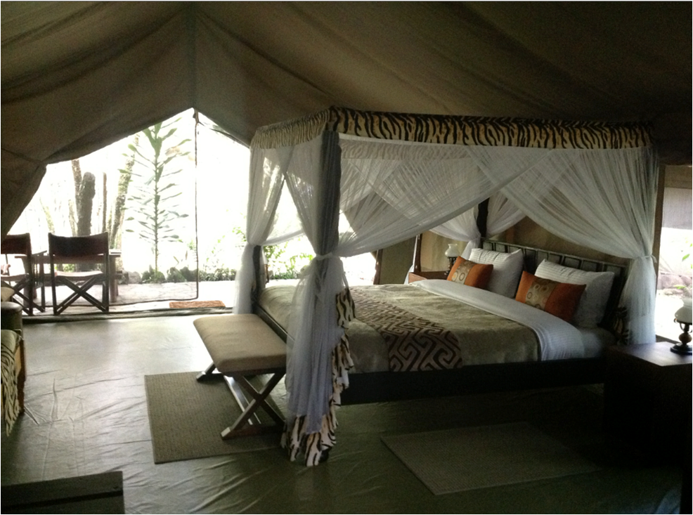 1晚内罗毕酒店+4晚Mara River Camp住宿